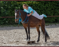 1-13JUIN 1118
